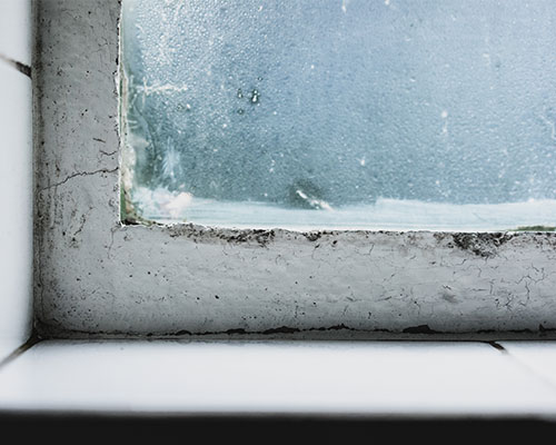 Emergency window repairs Devon