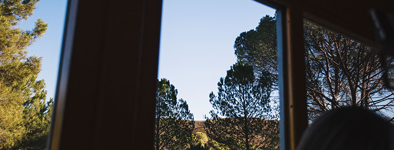 Read more about the article The Impact of Weather on Your Windows